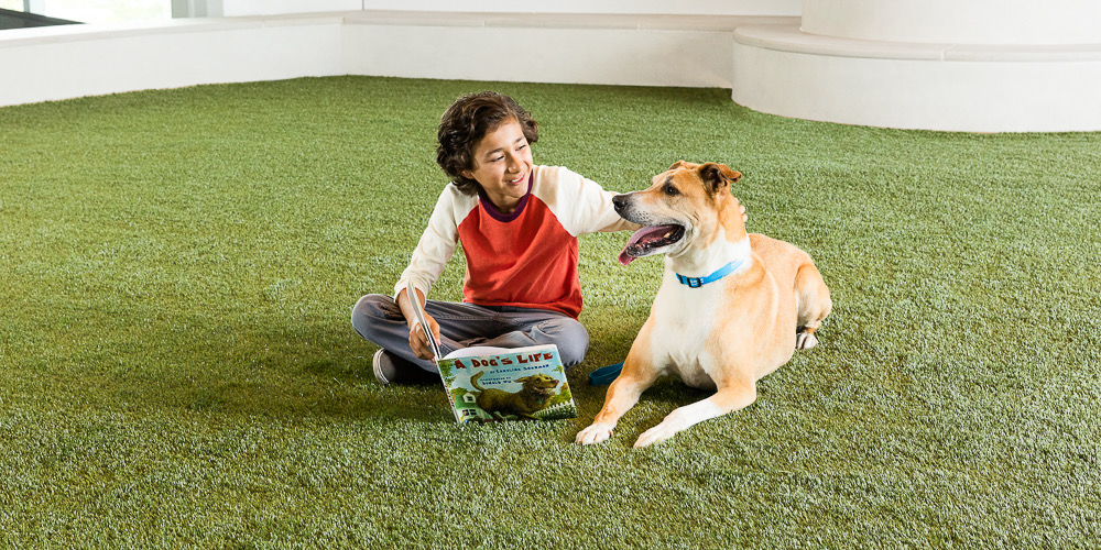 BoywithDoginFetchDeckfor web