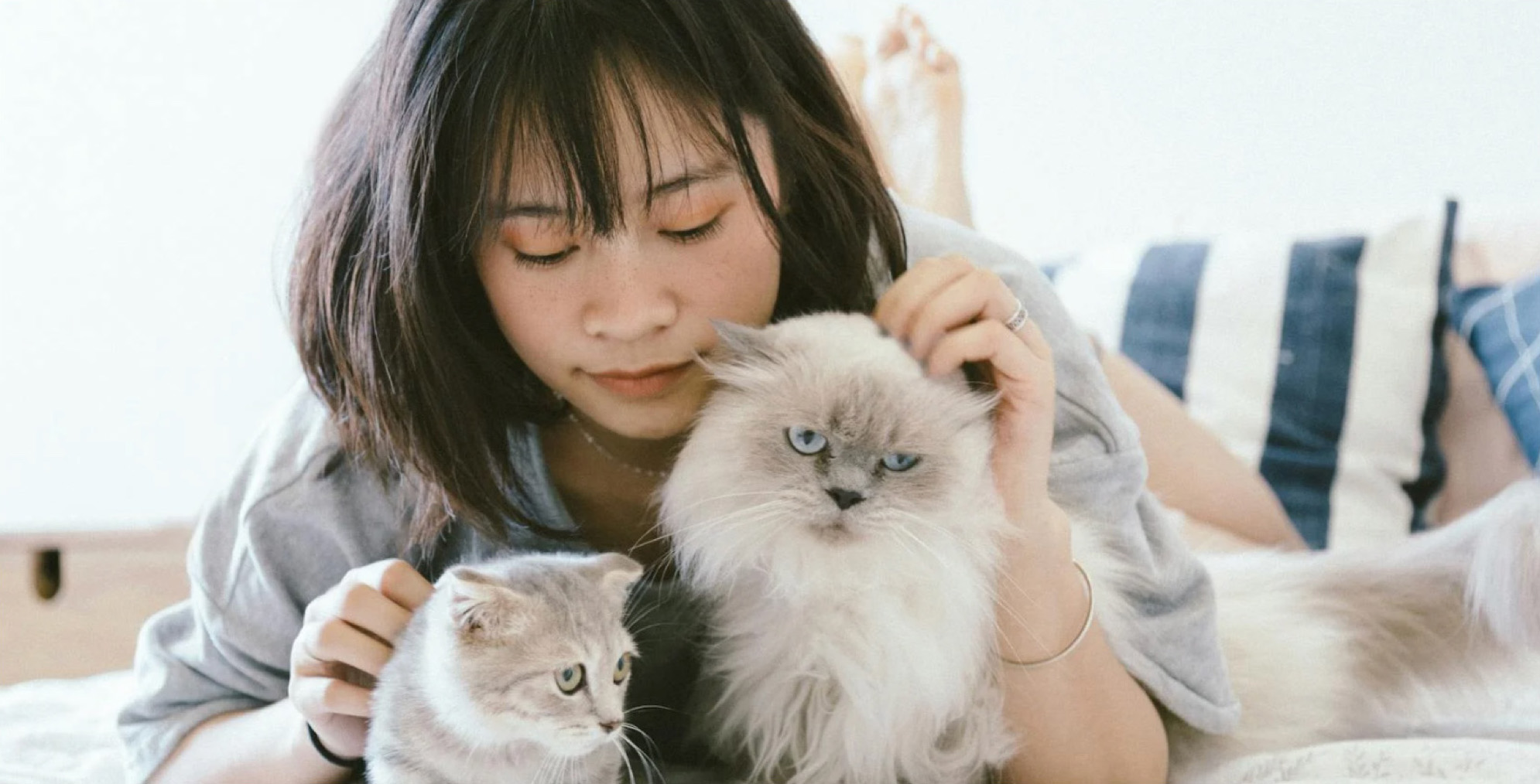 Research highlights the health benefits of human-pet bonds